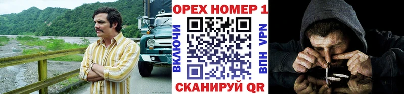 закладка  Тамбов  COCAIN Fish Scale 