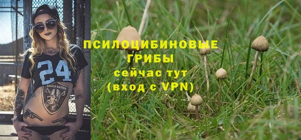 прущая мука Ладушкин