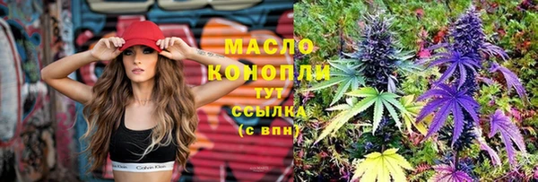 стаф Каменка