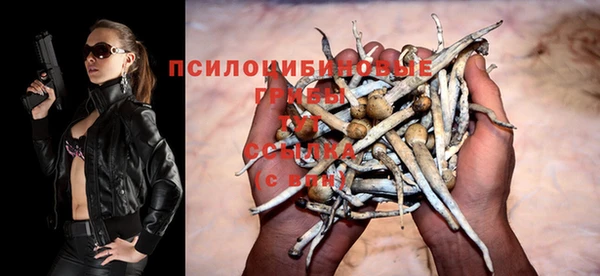 прущая мука Ладушкин