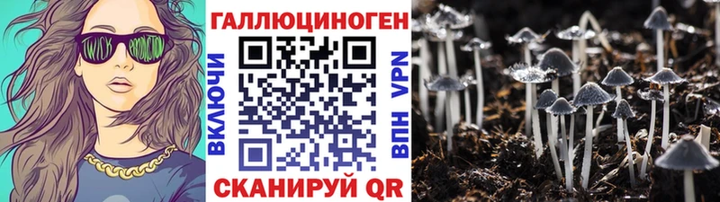 Галлюциногенные грибы GOLDEN TEACHER  Тамбов 
