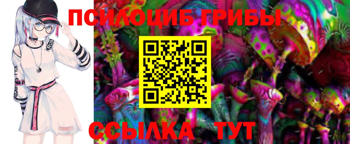 Галлюциногенные грибы мицелий Тамбов