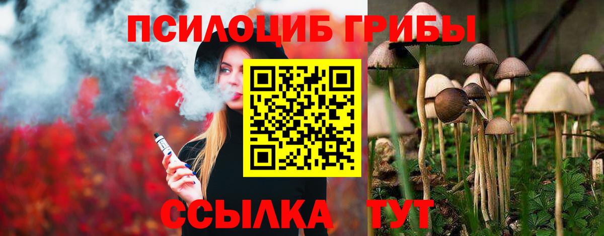 Псилоцибиновые грибы мицелий  Вход с VPN  Галлюциногенные грибы Psilocybine cubensis  Тамбов 