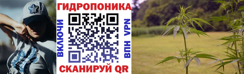 Конопля сатива  Тамбов 